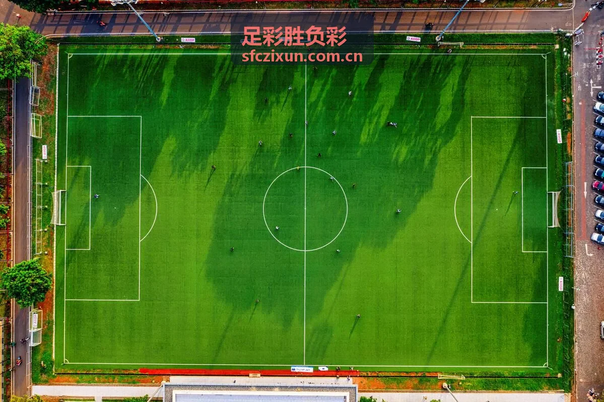 足彩胜负彩盘口解读背景图